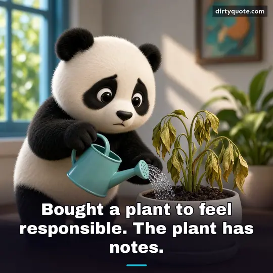 Bought a plant to feel responsible. The plant has notes.
