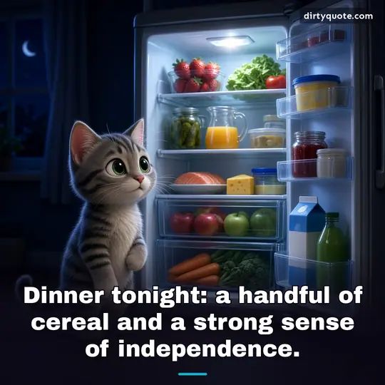 Dinner tonight: a handful of cereal and a strong sense of independence.