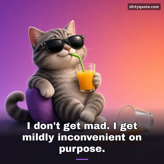I don't get mad. I get mildly inconvenient on purpose.