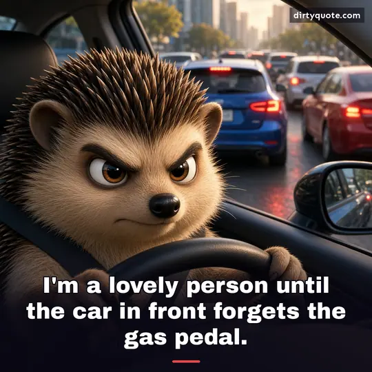 I'm a lovely person until the car in front forgets the gas pedal.