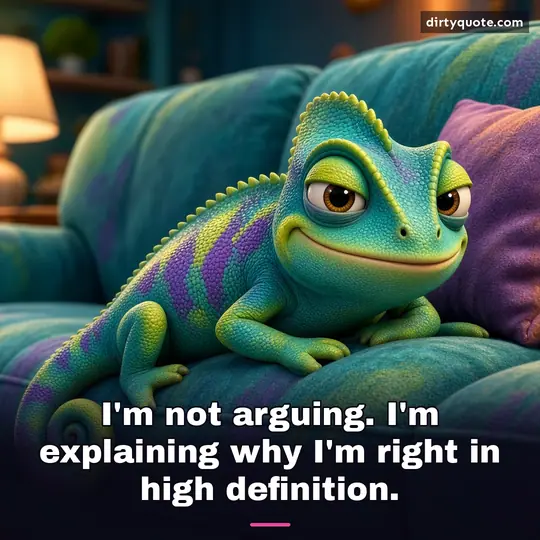 I'm not arguing. I'm explaining why I'm right in high definition.
