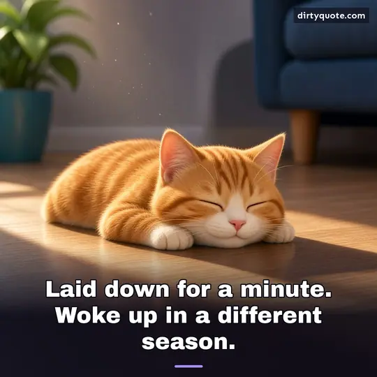 Laid down for a minute. Woke up in a different season.
