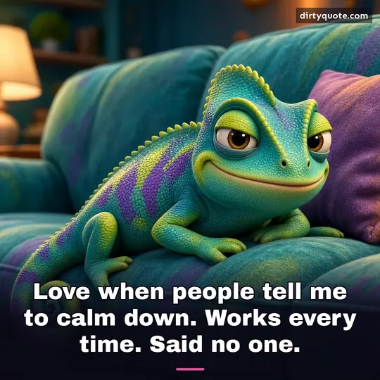 Love when people tell me to calm down. Works every time. Said no one.