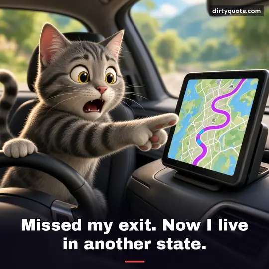 Missed my exit. Now I live in another state.