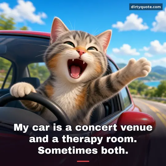 My car is a concert venue and a therapy room. Sometimes both.