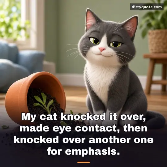 My cat knocked it over, made eye contact, then knocked over another one for emphasis.