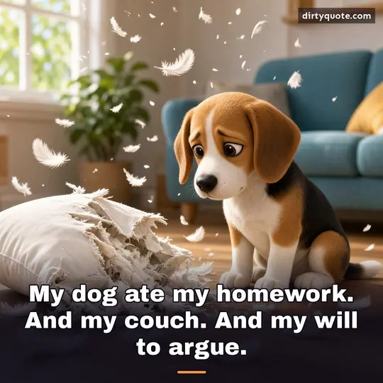 My dog ate my homework. And my couch. And my will to argue.