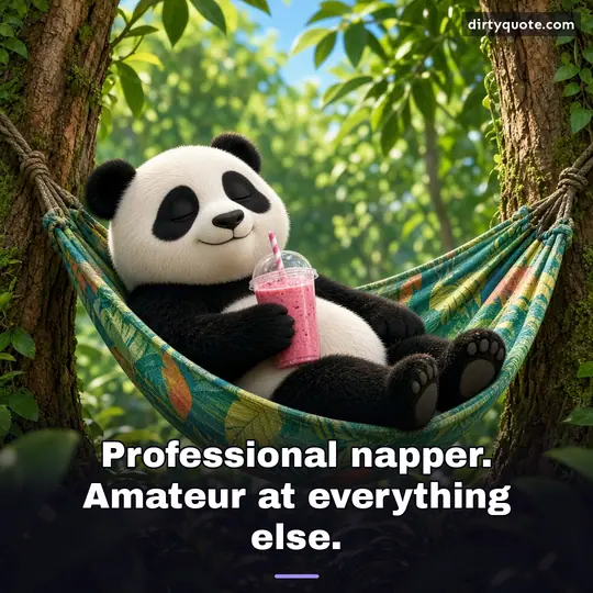Professional napper. Amateur at everything else.