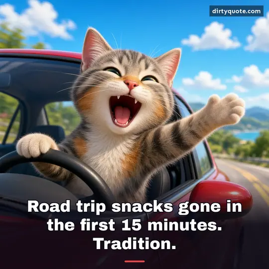Road trip snacks gone in the first 15 minutes. Tradition.