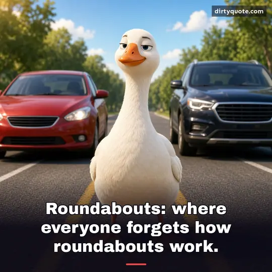 Roundabouts: where everyone forgets how roundabouts work.