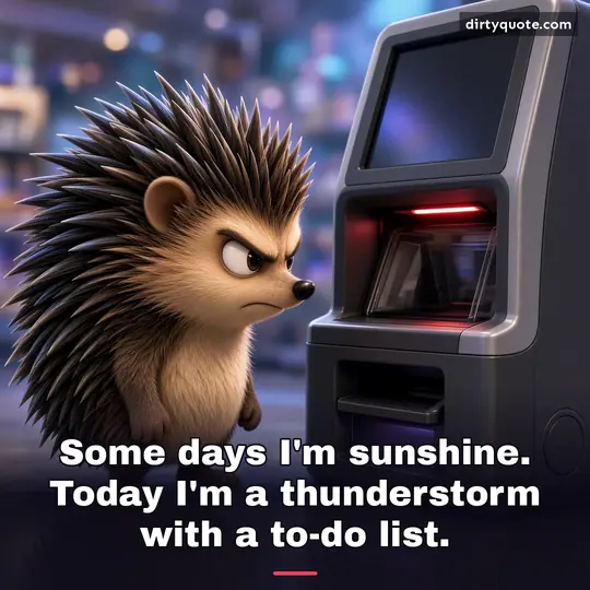 Some days I'm sunshine. Today I'm a thunderstorm with a to-do list.