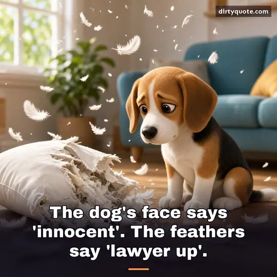 The dog's face says 'innocent'. The feathers say 'lawyer up'.