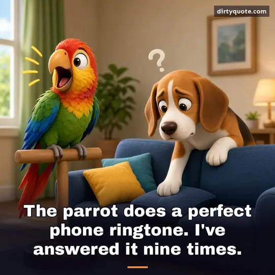 The parrot does a perfect phone ringtone. I've answered it nine times.