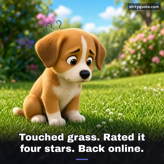 Touched grass. Rated it four stars. Back online.