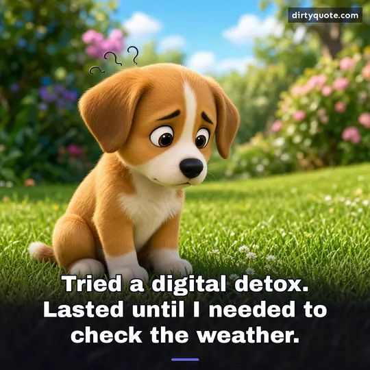 Tried a digital detox. Lasted until I needed to check the weather.