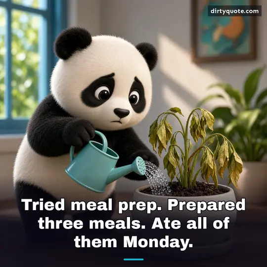 Tried meal prep. Prepared three meals. Ate all of them Monday.